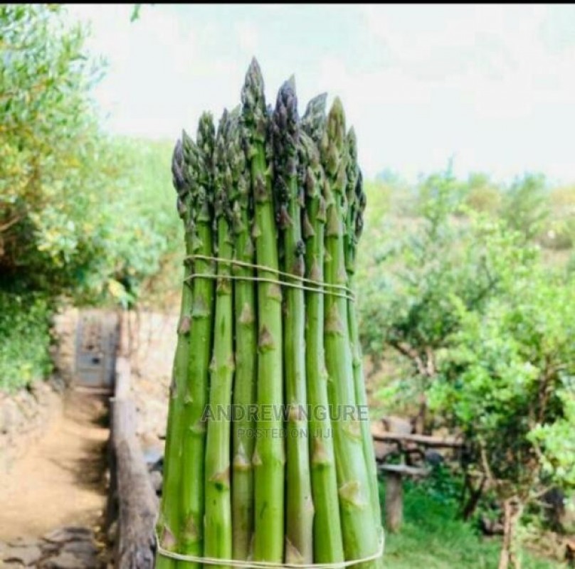 Fresh Asparagus from Kenya
